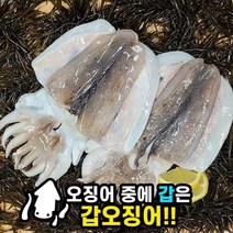 서해 냉동 갑오징어 2kg, 서해 냉동 갑오징어 3kg, 1개