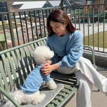 강아지옷﻿ 커플룩 스카이블루 레터링 쭈리 맨투맨 S-4XL 견주용