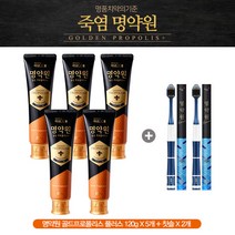 [LG생활건강] 명약원 골든 프로폴리스 플러스 치약 7종 세트, 단품