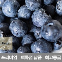 수입산_영화청과_500g_납품_저장_프리미엄_백화점_생_블루베리_시세_냉동_보관_재배 EA83, 상세페이지 참조