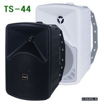 카날스 TS-44 패션스피커 4인치 벽부형 카페 매장용 2개, 1. 블랙