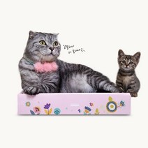 힐링타임 띵가띵가 우주 알뜰형 카페트 스크래쳐_라임(블루) NH-2115 [캣닢가루&깔끔이 증정!], 1개