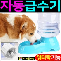 도매짱 (domejjang) 강아지 자동 급수기 고양이 정수기 물통 물그릇 애견, C.스카이, 1개
