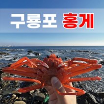 [렛츠팜] 동해안 홍게 정품 자숙 연지 박달 수율 70~80%이상 산지직송 품질인증 고급 프리미엄, A급 자숙홍게3kg (수율70~80%)