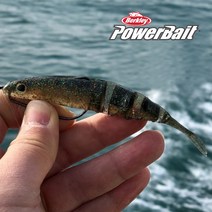 버클리 웨이브쉐드 5인치 광어 다운샷 파워베이트 우럭 루어, 04 WMR(워터멜론레드글리터)