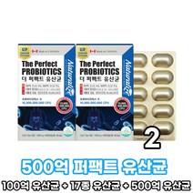 퍼펙트 유산균 500억 투입 100억유산균 모유 유래 LGG 유산균 식물성 캡슐 프로 프리 포스트 퍼스트 바이오틱스 바이오텍스 17종 함유 장내 유익균 건강기능식품, 2박스, 60캡슐