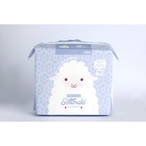 소프트메이트 프리미엄 건티슈, 160매, 2팩