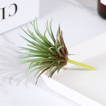 (주)아트인 인조 다육 식물(M01), 그린, 1개