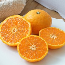 [제주직송] 당도보장 꿀달콤 카라향 2kg 중과 12-16과, 없음