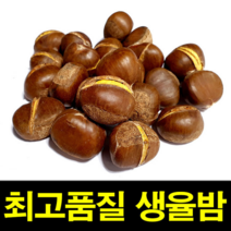 햇생율밤 1KG 칼집O 밤보관법 공주밤 밤삶기 옥광밤