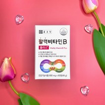 (날송) 종근당 비타민B 비군 b군 수용성 비타민 b1 b2 b6 b12 활력 영양제 알약, 2박스(4개월분)