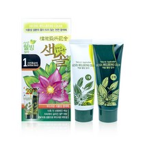 프라나 색솔 웰빙 칼라 - 옻 안타는 천연염색제 140g(70g+70g), 1호(자연흑갈색)