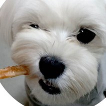 쫄깃한 강아지연어껌 65g 돼지껍데기껌 노령견영양간식 소형견 애견간식