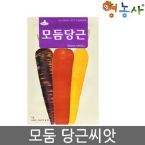모듬당근씨앗 1g 당근씨앗 당근씨 자색당근 노랑당근, 모듬당근