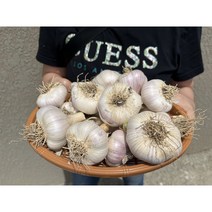 2023 영천 햇홍산마늘 저장용마늘 3kg 4kg 5kg7kg, 홍산마늘 왕특  3.5kg(50개), 1개