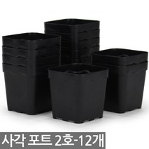 20구 연결포트 - 사각포트 연결구 모종판 포트 모종 트레이 재배 씨앗 다육포트 묘목 모판 화분 다육이, 05_세인_사각포트(2호) x 12개