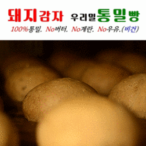 [유스마일] 우리밀 돼지감자통밀빵 100%통밀빵 새싹보리 여주 비건빵 당뇨빵 다이어트빵, 01cp.100%통밀빵55g