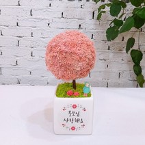 스칸디아모스 어버이날 스승의날 선물 공기정화식물 나무 액자 화분, 모스 빅큐브 부모님 사랑 트리-핑크