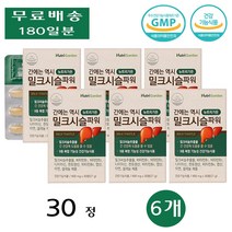 뉴트리가든 간 건강 밀크시슬 밀크씨슬 비타민B군 케어 피로 회복 파워 장 약 30정 6개