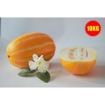 성주 꿀참외 1박스 프리미엄 대과 특등급 2.5KG 5KG 10KG, 참외중과 10KG