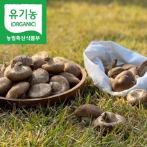 [해담은농장] 유기농 생표고버섯 1kg/4kg 국내산 참나무, 1개, 하품1kg