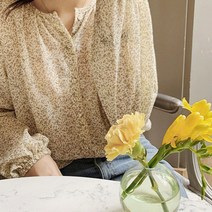 여성 봄 청순 쉬폰 블라우스 러블리 소개팅