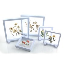 압화 식물표본액자 전시대 사이즈 플라스틱 투명 액자 만들기 DIY 인테리어액자소품, 백일초줄기/주황(5p)