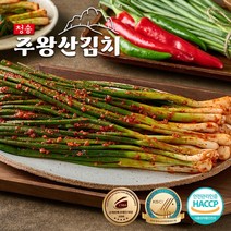 청송주왕산김치 쪽파김치, 1kg
