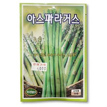 아스파라거스 씨앗 (50립) - 텃밭 주말농장 모종 씨앗, 1개