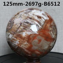 화석공 예쁜돌 풍수 인테리어 마다가스카르 천연수 화석 구목 변석 규화목 원석 관상구 진자목, 옵션7