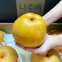 나주배 제철과일 햇배 선물용 5kg 7.5kg, 5kg(5~7과)
