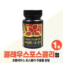 콜레우스포스콜리 환 자기전 30대 여성 남성 콜리우스 콜레우스 포스콜리 포스콜린 수입신고 인증 남자 추천 콜레우스포스콜리추출물 분말 정 대용량 홈쇼핑 여자, 간편한 콜레우스포스콜리 정 x1병