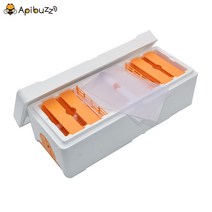 벌통 토종 꿀벌 더블 여왕벌을 위한 이중 미니 꿀벌 핵 폴리스티렌 핵 상자 핵 하이브, 없음
