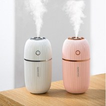 USB 미니 가습기 안개분사 LED 무드등 탁상용 가정용 차량용 사무실 휴대용