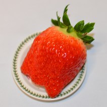 킹스베리 논산딸기 산지직송 대왕 딸기 2kg 딸기선물 과일선물세트 제철 생딸기, 왕특(42~54g) 2kg