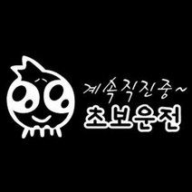 자동차 VIP-290 초보운전데코 스티커 02번 디자인, 비브로 화이트