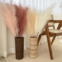 베듀 핑크뮬리조화 팜파스조화 10color 대형 인조갈대 봄 촬영 소품 인테리어 장식, 베이비코랄