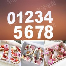 베이킹 몰드 숫자틀 떡 케이크 커터 모든 숫자 생일 금형 무스링 빵틀 8인치 10인치