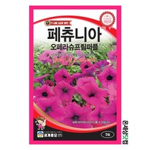 페츄니아오페라슈프림퍼플 5립 / 고급꽃 꽃씨 종자 F1 교배종