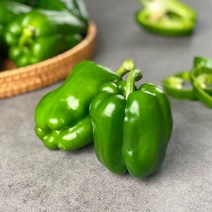 국내산 피망 청피망 10kg 5kg 3kg 2kg 1kg내외 빛고을장터, 1box, 2번 청피망 5kg내외