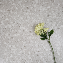 테라조 6606 현관 카페 상가 인테리어 600각 바닥타일