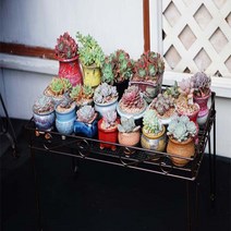 철재 화분 진열대 다육 받침대 베란다 선반 다육다이