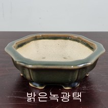 6. 손바닥정원 정육각꽃분 분재화분 승전분, 코발트색