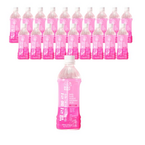 벨리불리 화산용암수 제주 미네랄 500수 음료, 500ml, 100개