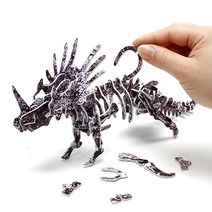 3D 입체 종이퍼즐 해골 공룡 초등 만들기 에듀 수업 유아 어린이집 제작 과학놀이 우드락 입체모형, 상세페이지참조