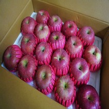 [경북사과]고당도 알뜰 햇사과 특가행사 가정용, 1box, 15.가정용 사과 10kg/특대과