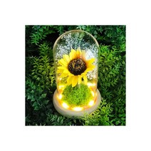 텐바이텐 LED 복덩이 해바라기 무드등 집들이 이사 개업 선물