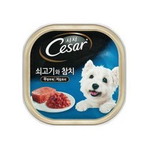 간식 파우치 참치 100g 푸들 스피츠 습식캔 웰시코기 사료토핑 베들링턴테리어 닥스훈트 셰틀랜드쉽독 비숑