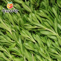 브랜드없음 [우리가락]돌나물(돗나물 돈나물) 500g, 1개