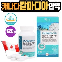 손저림영양제 칼마디아 산호코랄칼슘 마그네슘 콜레칼시페롤 글루콘산아연 면역력음식 뼈건강영양제 치아 어린이 아이 키즈 칠드런 여성 직장인 Calcium magnesium